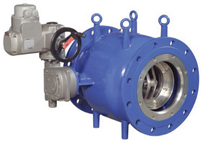 VAG RIKO Plunger Valve